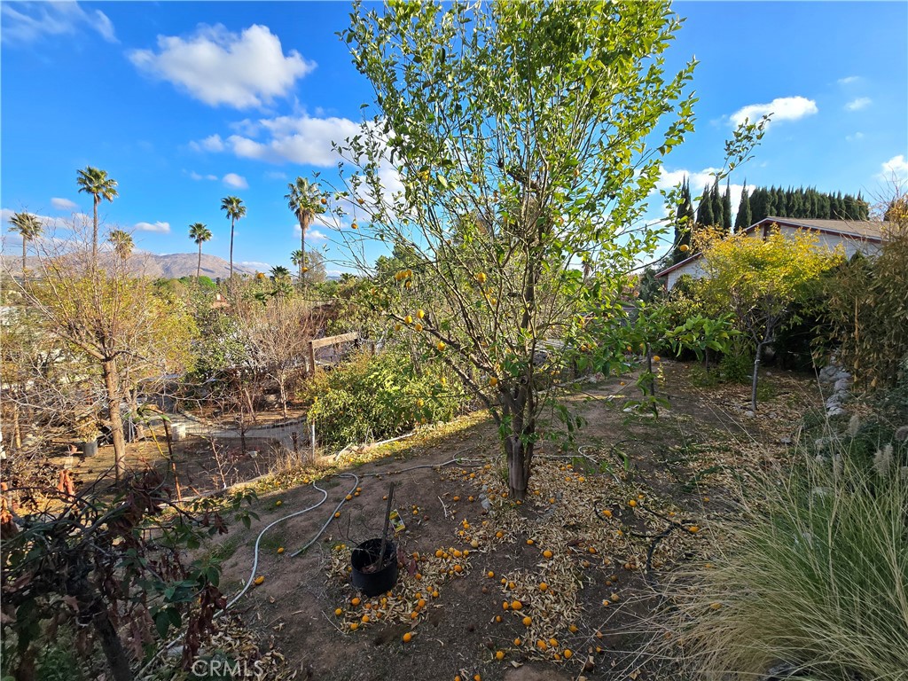 2789 Fairmount Boulevard Riverside, CA 92501 - Photo 73 of 74