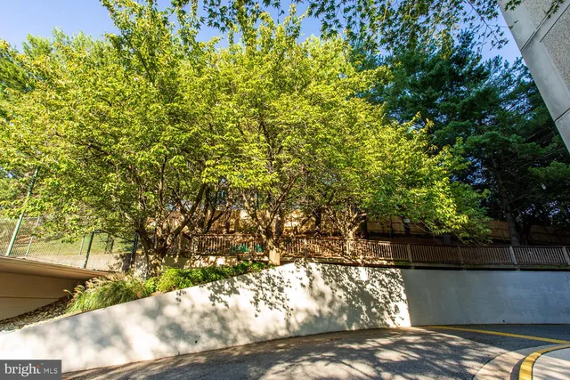 a view of a yard with wooden fence