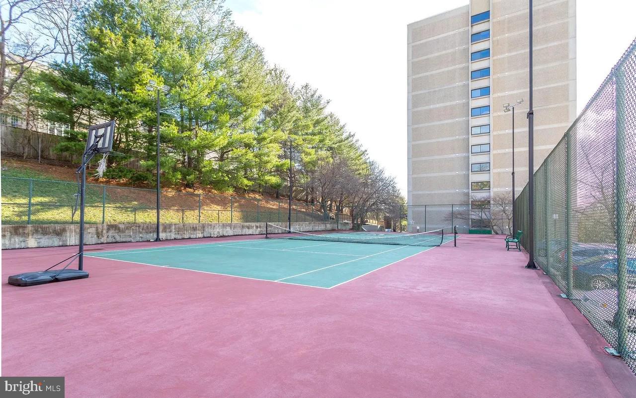 5911 Edsall Road, Unit 206 Alexandria, VA 22304 - Photo 30 of 40 a view of a park with large trees