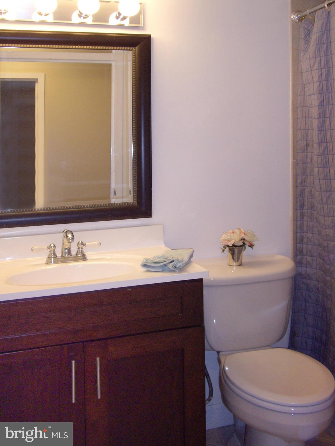 11212 Chestnut Grove Square, Unit 114 Reston, VA 20190 - Photo 15 of 18 a bathroom with a sink and a toilet