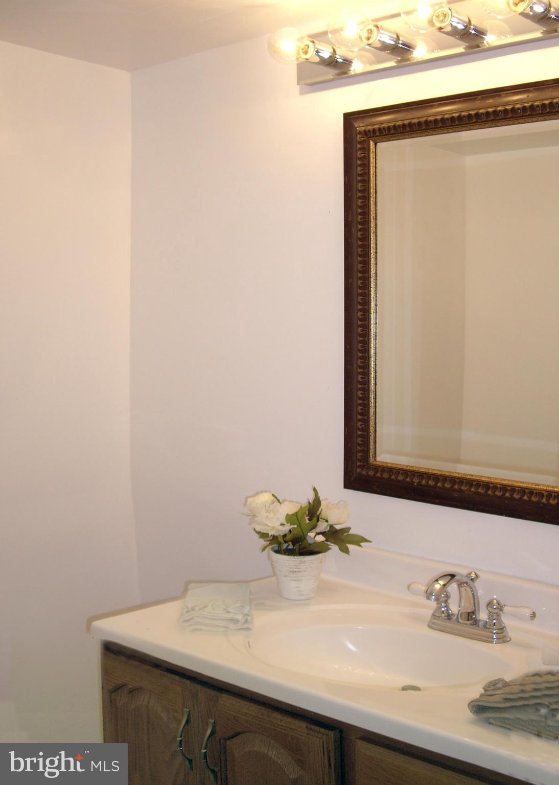 11212 Chestnut Grove Square, Unit 114 Reston, VA 20190 - Photo 17 of 18 a bathroom with a sink and a mirror