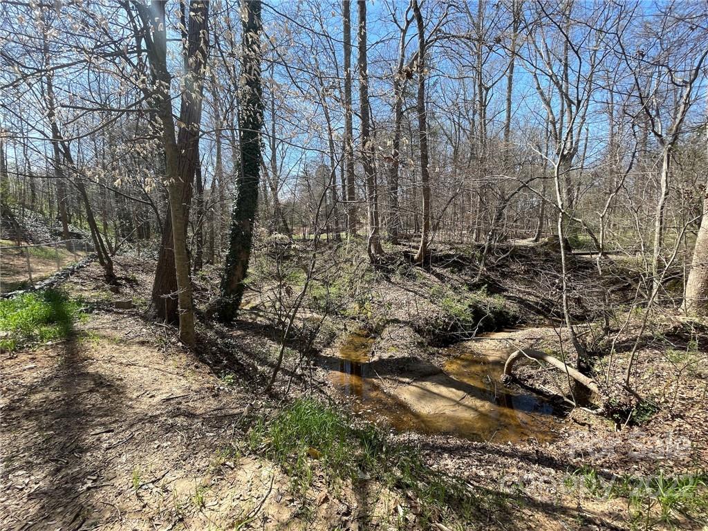 127 Addison Place Troutman, NC 28166 - Photo 20 of 21