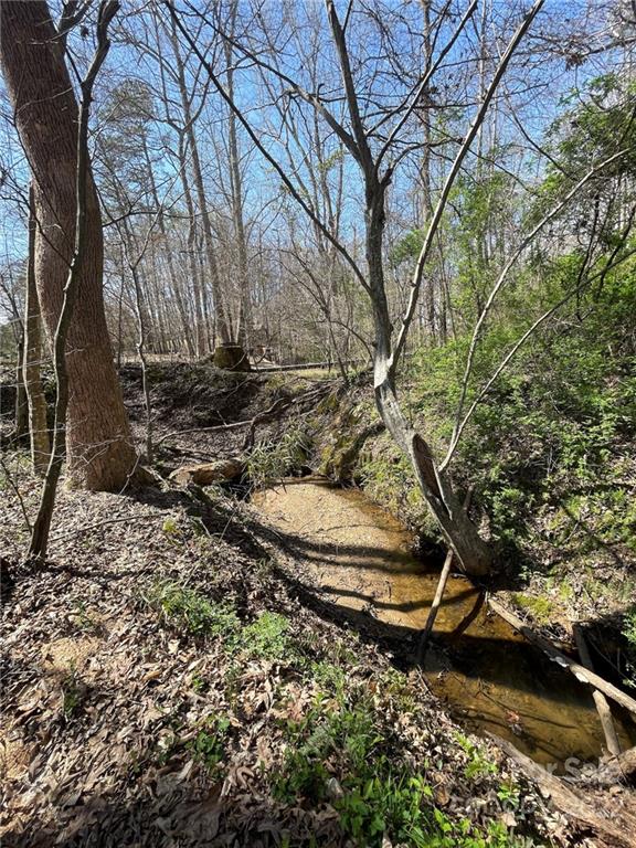 127 Addison Place Troutman, NC 28166 - Photo 21 of 21