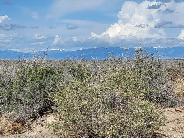 a view of a dry yard