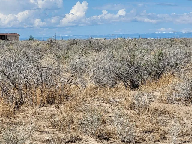 a view of a dry yard