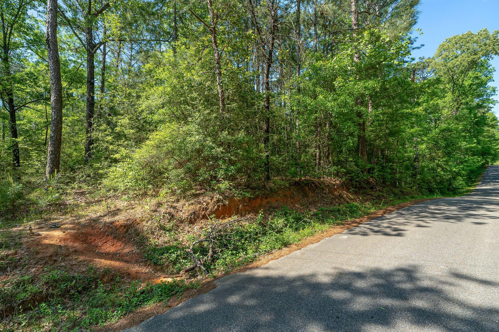 0 Brewer Road Purvis, MS 39475 - Photo 6 of 13 4684_Old_Hwy_11-41