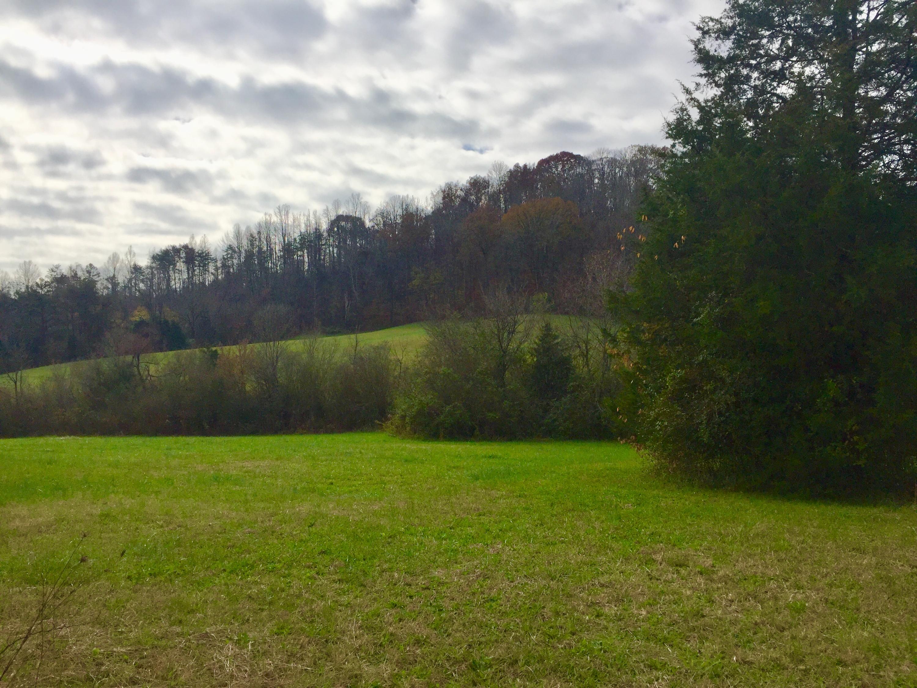 155 Raccoon Valley Road, Unit 2 Maynardville, TN 37807 - Photo 1 of 3 Raccoon Valley3