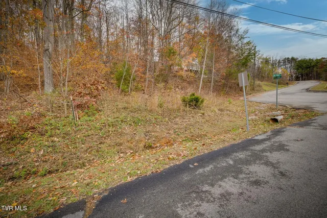 $37,000 | Tbd Tbd Oak Forest, Unit 24, Kingsport, TN 37664