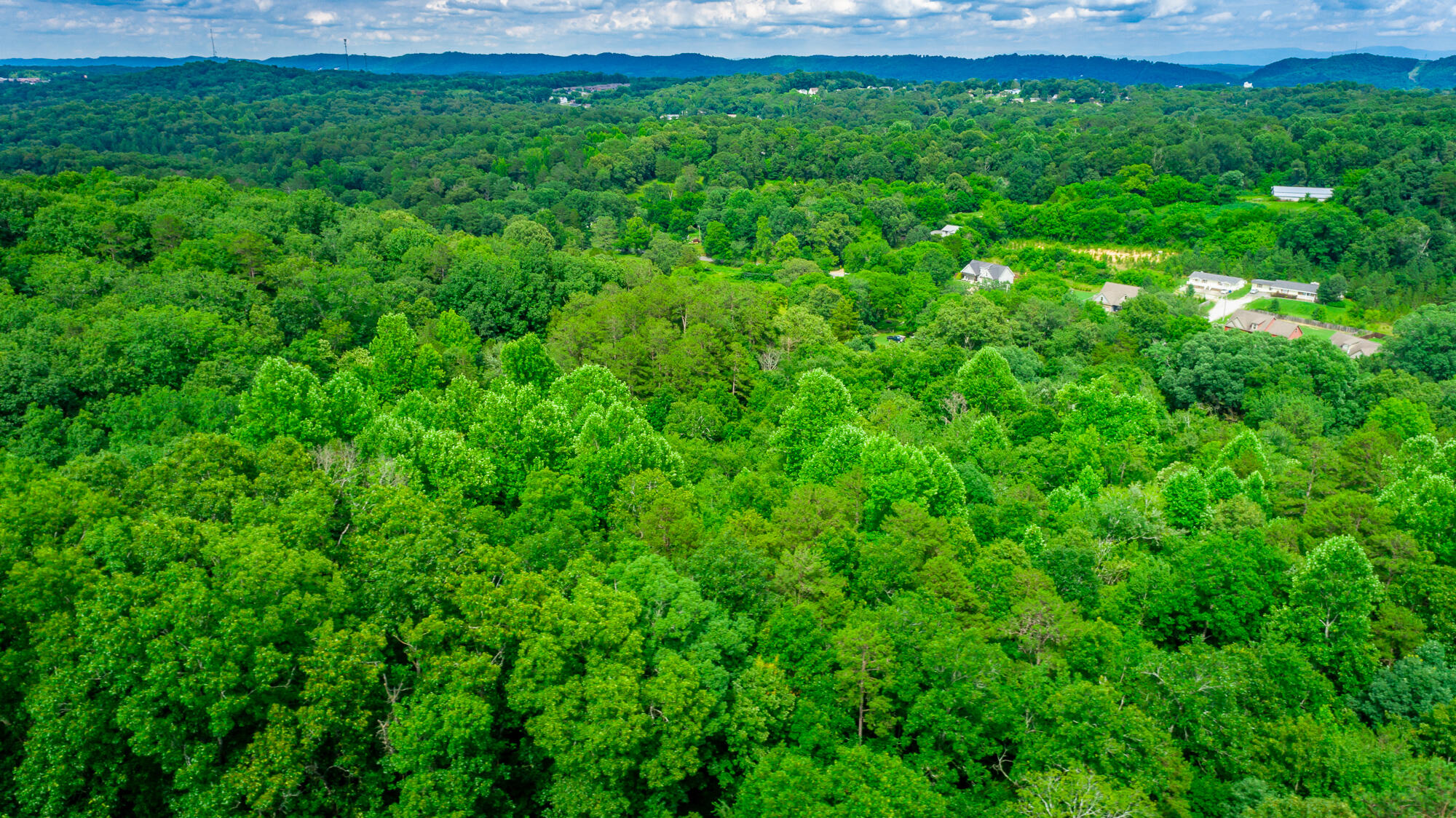 1230 Baggett Road Ringgold, GA 30736 - Photo 35 of 54 Baggett Road Lot HD-36