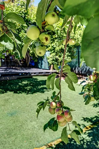 $599,000 | 2309 High Street, Oakland, CA 94601