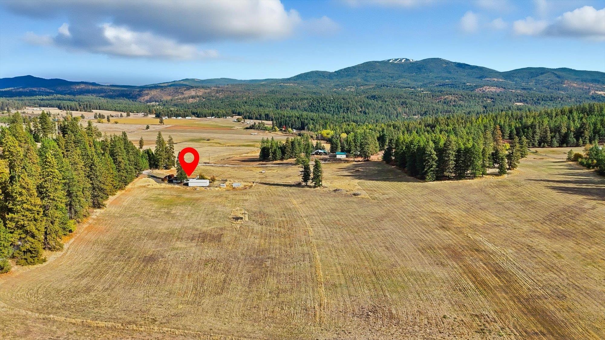8920 East Schwachtgen Branch Road Chattaroy, WA 99003 - Photo 9 of 50
