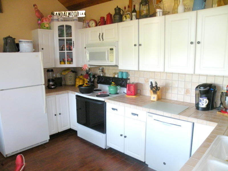 5284 Bennett Road Saranac, MI 48881 - Photo 6 of 19 DSCF4490
