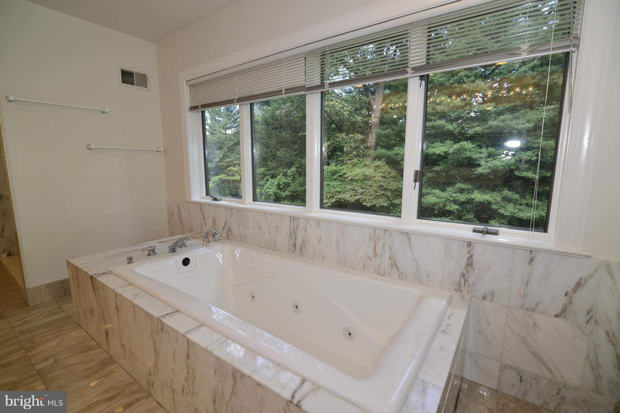 1290 Balls Hill Road McLean, VA 22101 - Photo 22 of 30 Bath (Master)