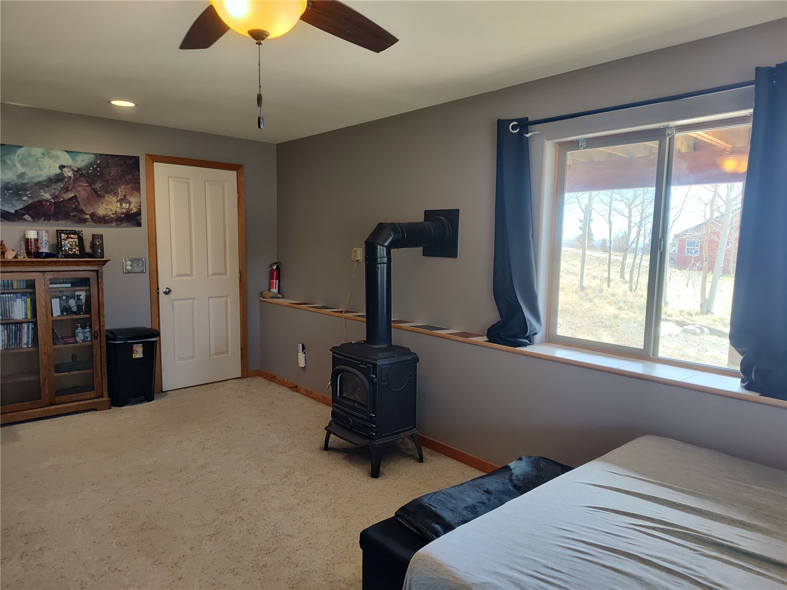 612 Sheep Ridge Road Fairplay, CO 80440 - Photo 28 of 45