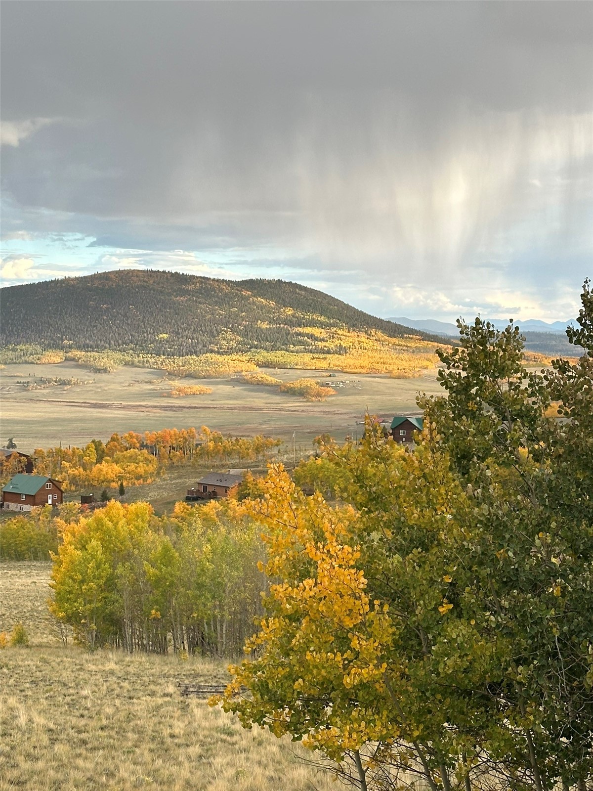 612 Sheep Ridge Road Fairplay, CO 80440 - Photo 44 of 45