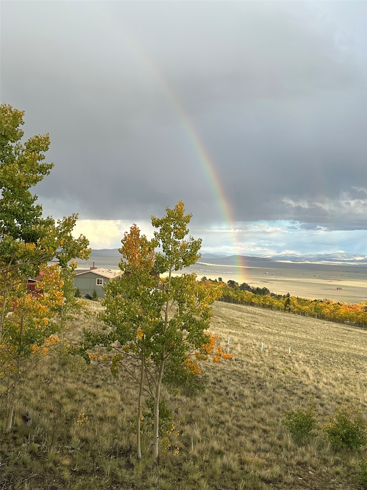 612 Sheep Ridge Road Fairplay, CO 80440 - Photo 45 of 45