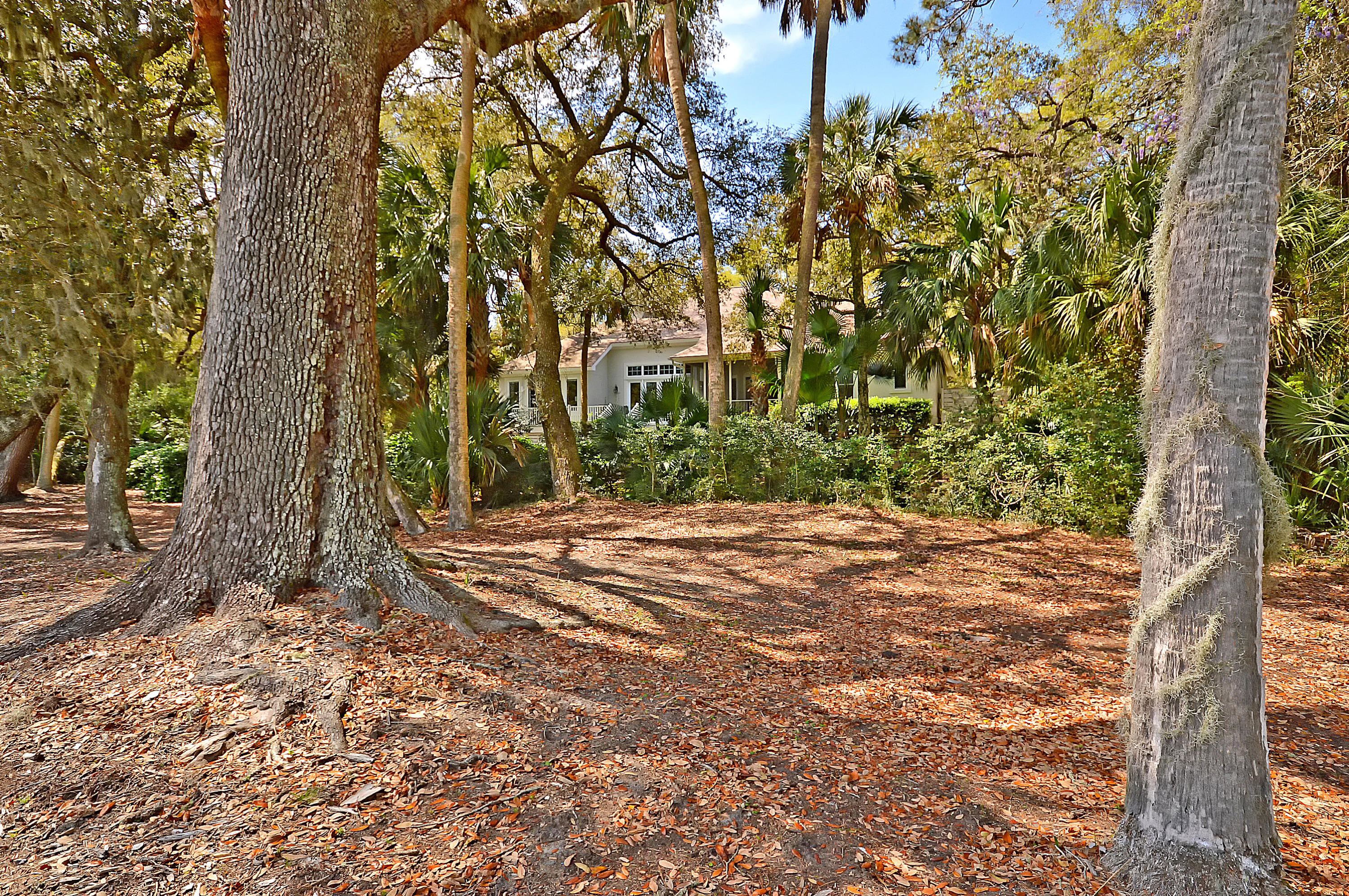 2733 Seabrook Island Road Seabrook Island, SC 29455 - Photo 29 of 34 2733 Back house:trees