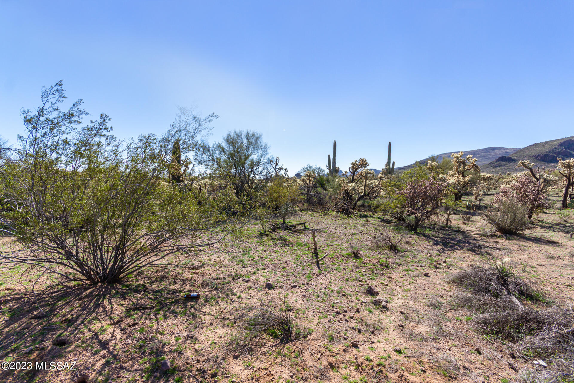 8121 West Pima Farms Road Tucson, AZ 85743 - Photo 19 of 32 Gallery Image 19