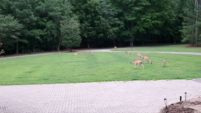 $4,250,000 | 1004 Buttar Lane, Raleigh, NC 27614