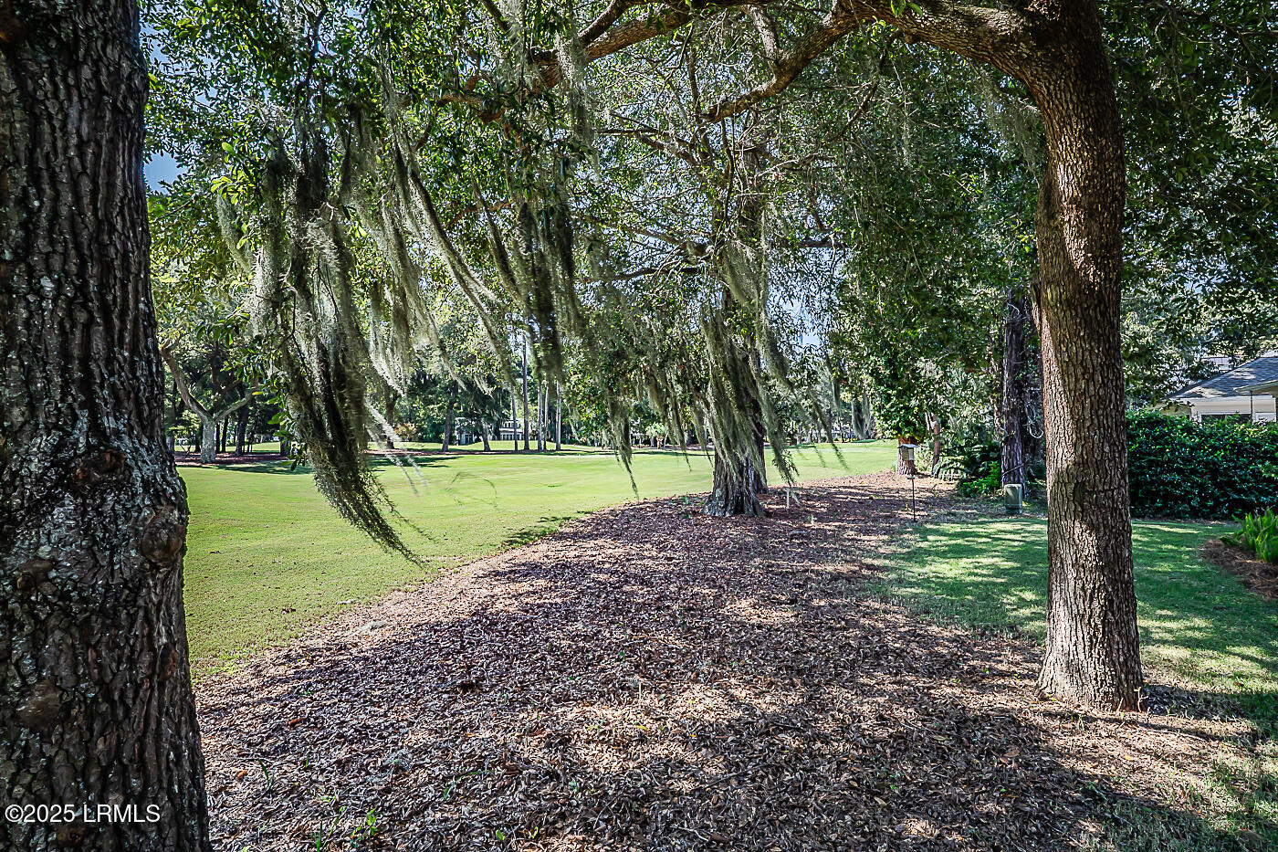 117 Locust Fence Road St. Helena Island, SC 29920 - Photo 19 of 30 56 Course view