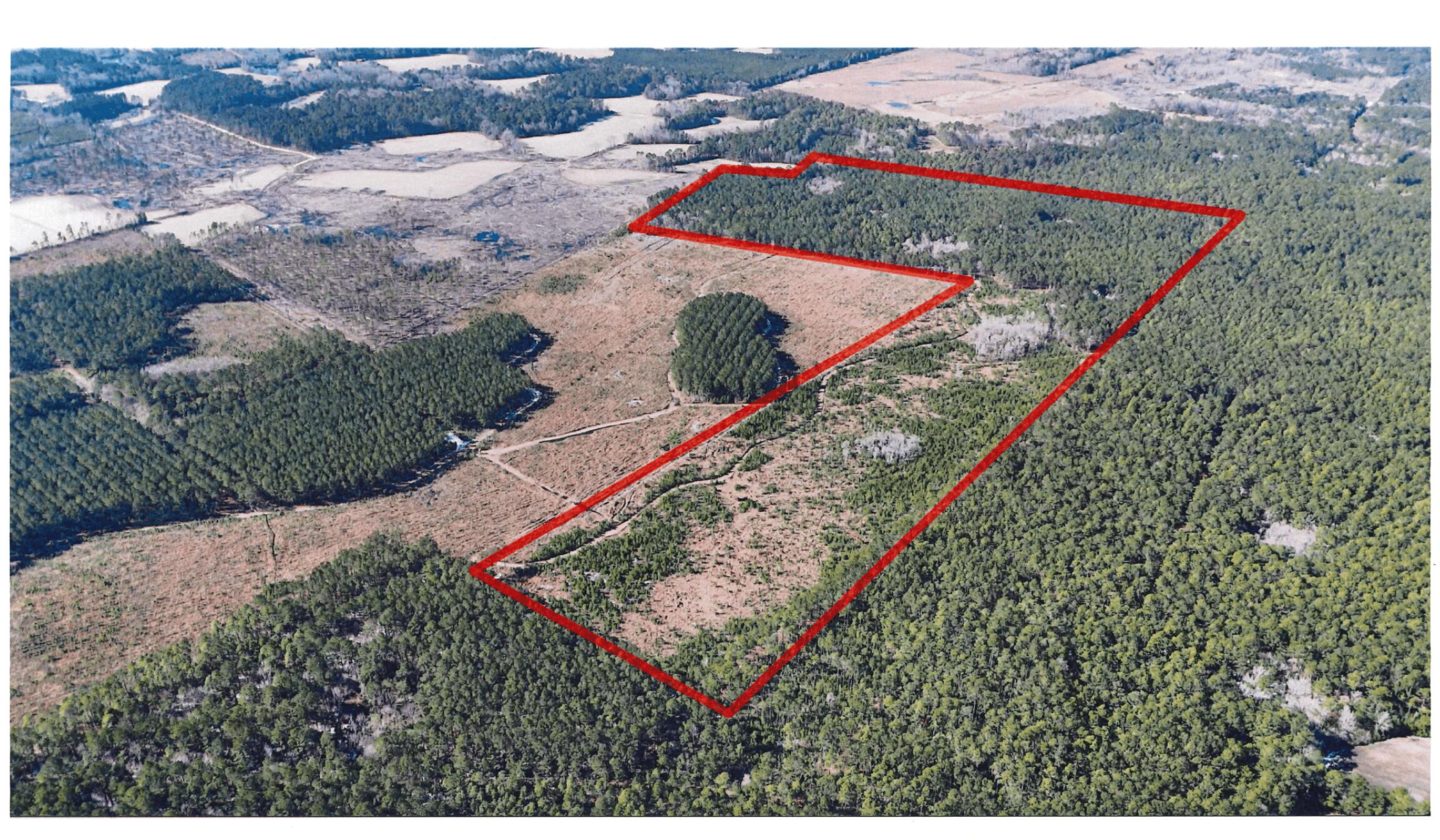 0 Gabes Place Reevesville, SC 29471 - Photo 2 of 8 8