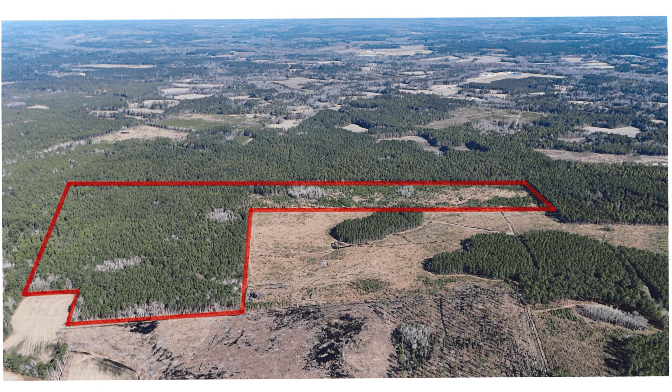 0 Gabes Place Reevesville, SC 29471 - Photo 3 of 8 7