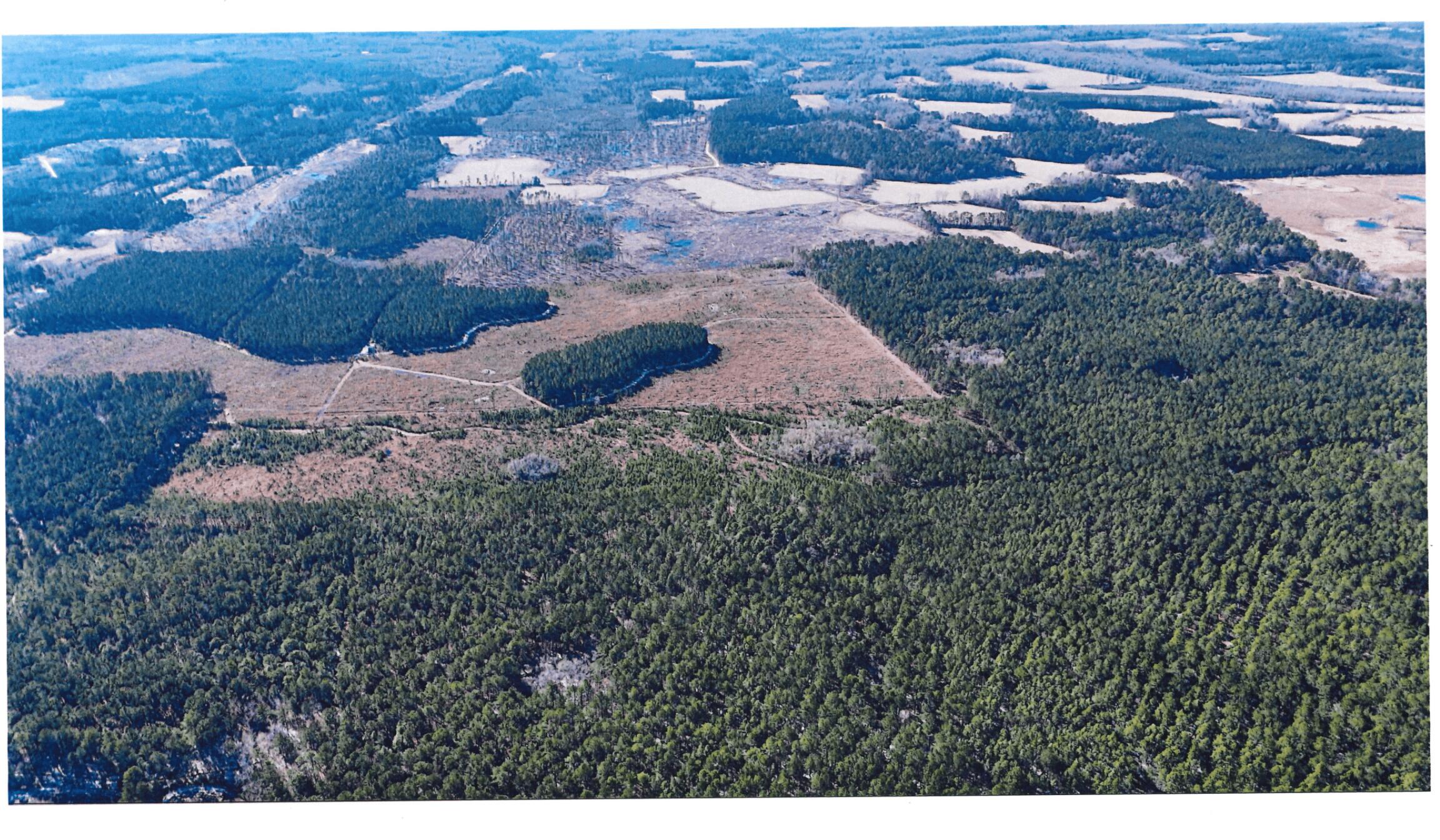 0 Gabes Place Reevesville, SC 29471 - Photo 4 of 8 6