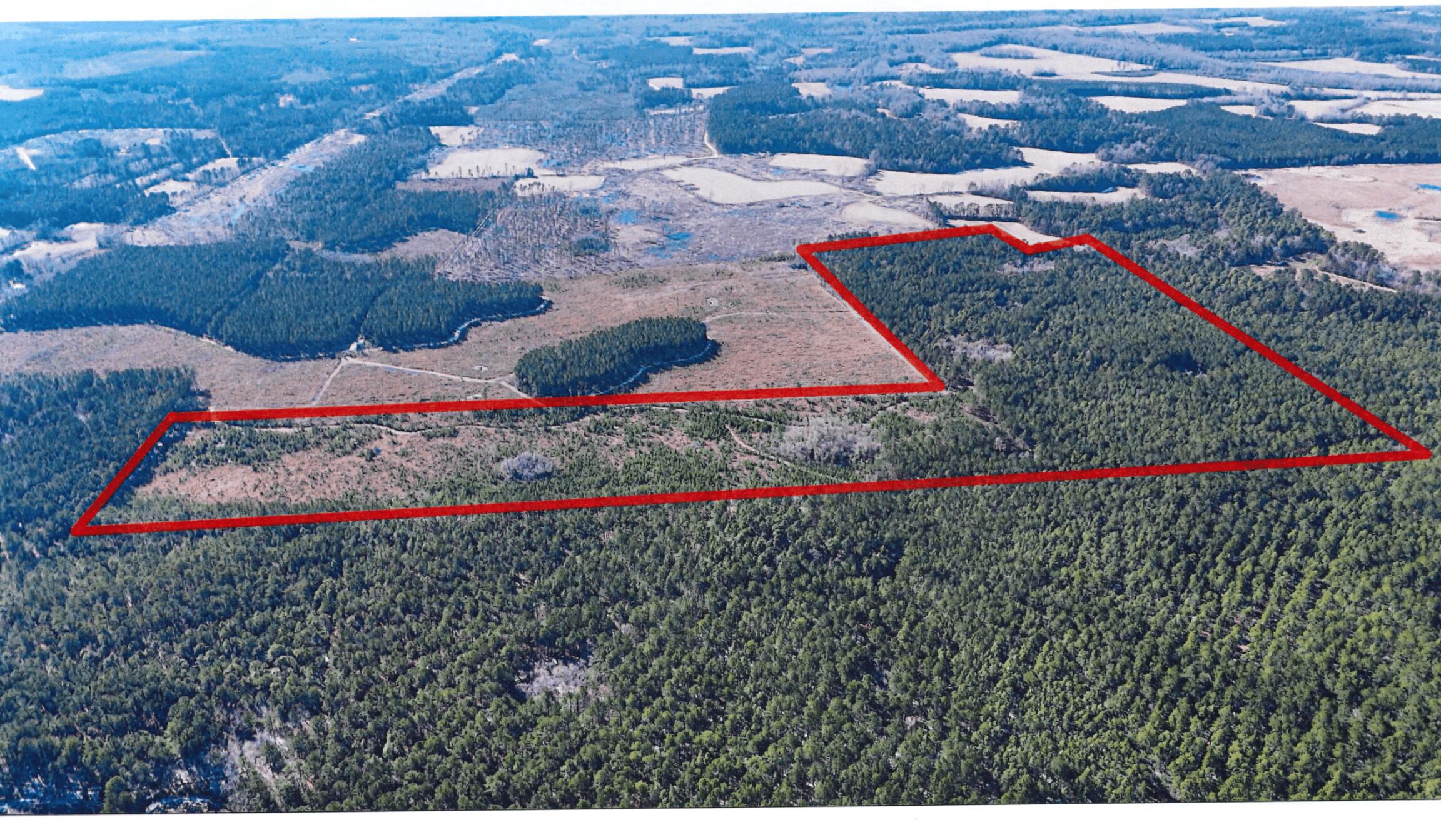 0 Gabes Place Reevesville, SC 29471 - Photo 5 of 8 5