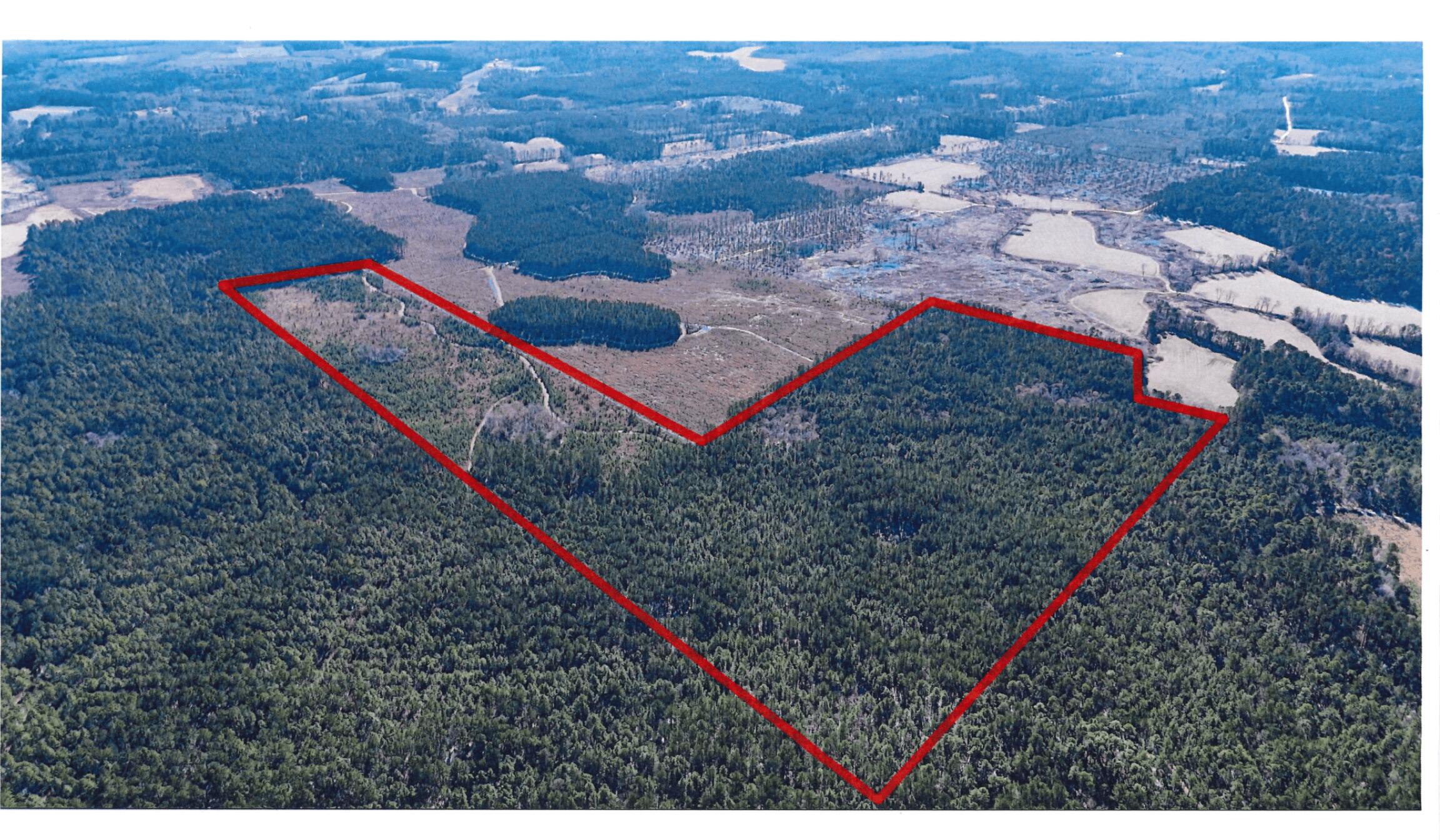 0 Gabes Place Reevesville, SC 29471 - Photo 6 of 8 4