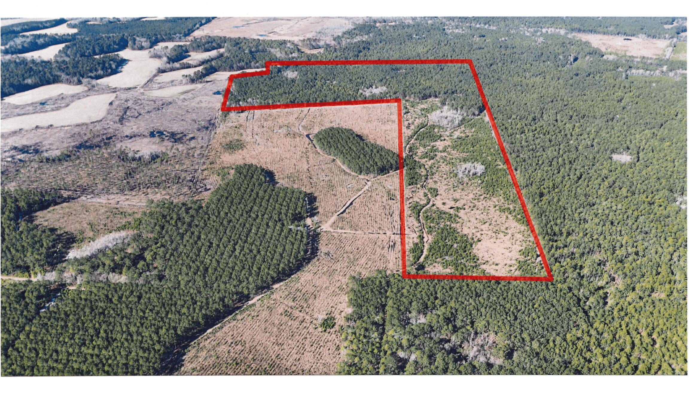 0 Gabes Place Reevesville, SC 29471 - Photo 7 of 8 3