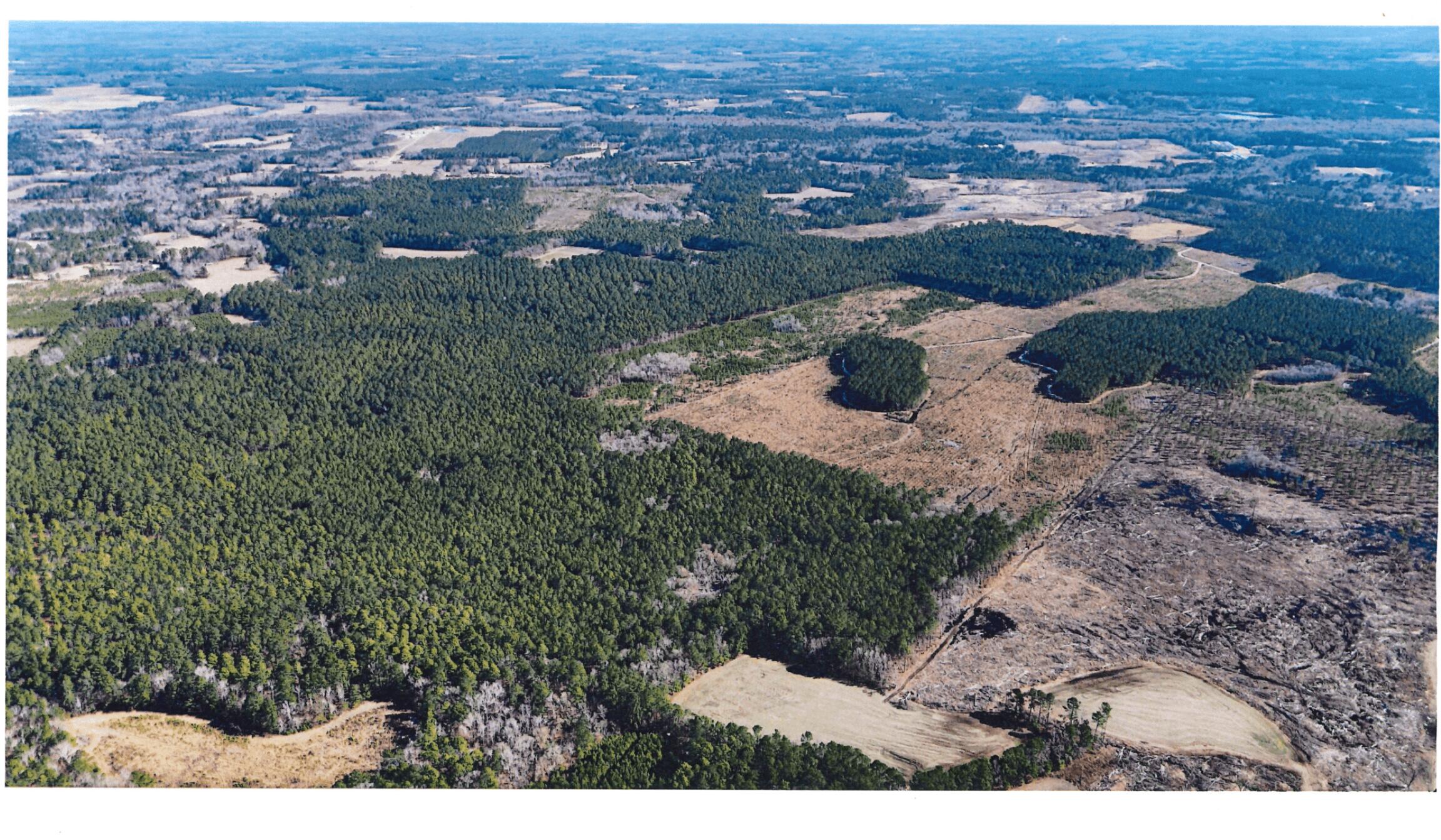 0 Gabes Place Reevesville, SC 29471 - Photo 8 of 8 2