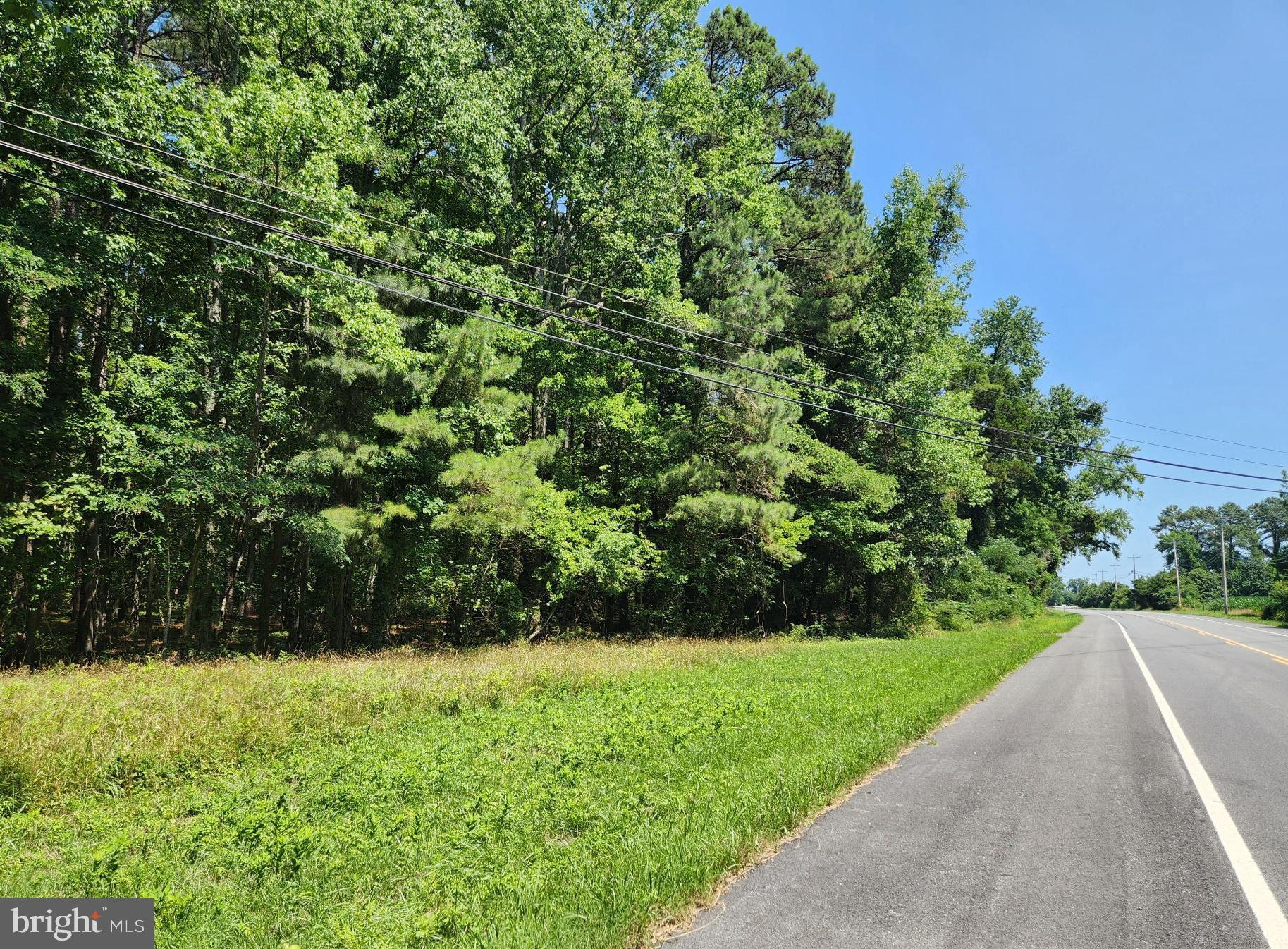 Point Lookout Road Scotland, MD 20687 - Photo 1 of 19 27.5 Acre Rec Lot with Rt 5 Frontage