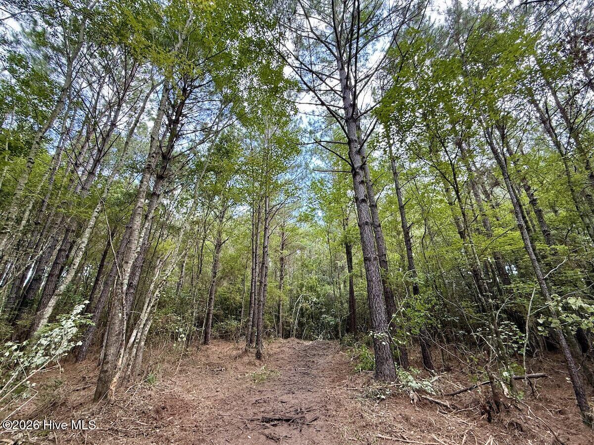 0 Cupelo Road Farmville, NC 27828 - Photo 12 of 18 Gallery Image 12