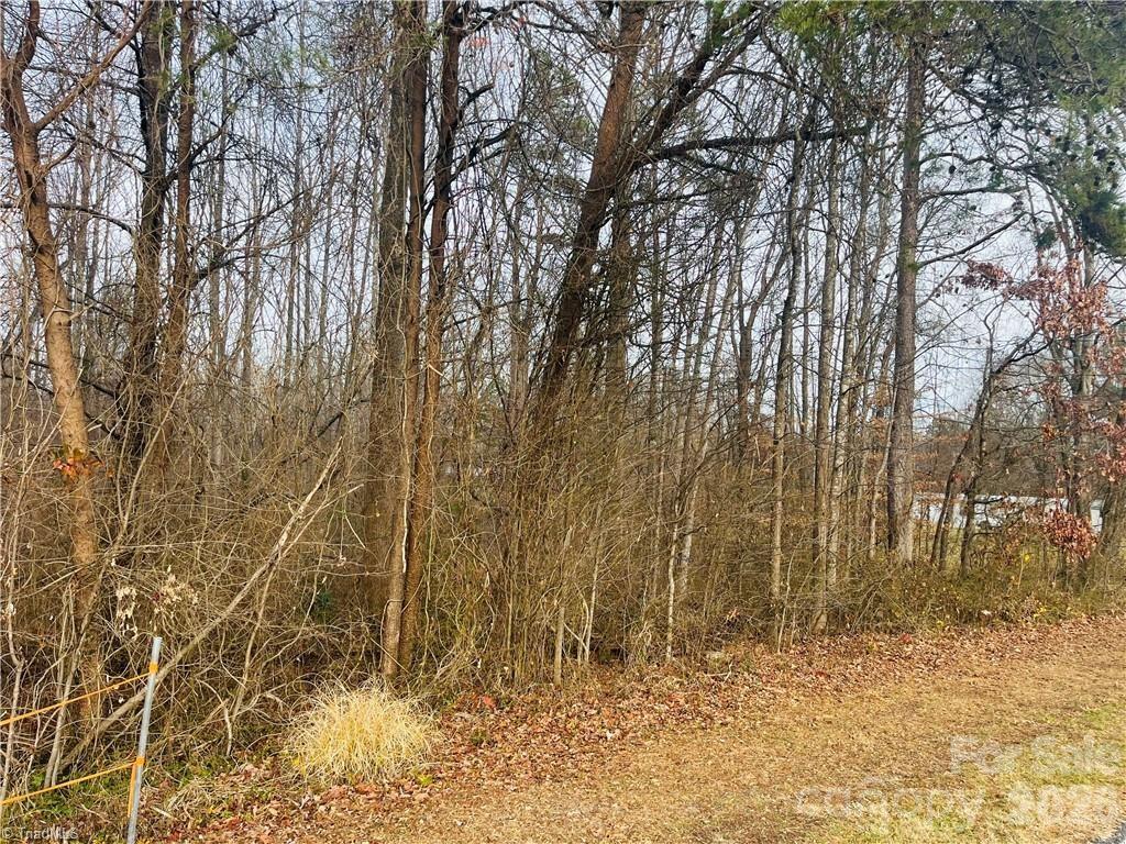0 Union Hill Road Thurmond, NC 28683 - Photo 2 of 11