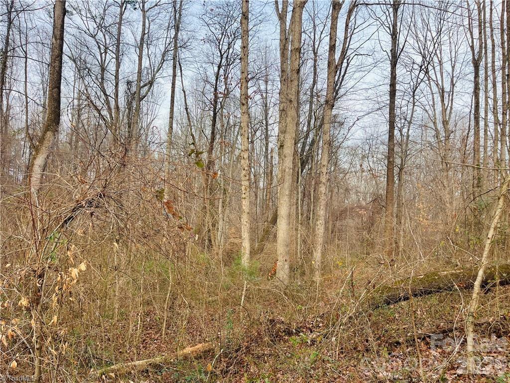 0 Union Hill Road Thurmond, NC 28683 - Photo 4 of 11