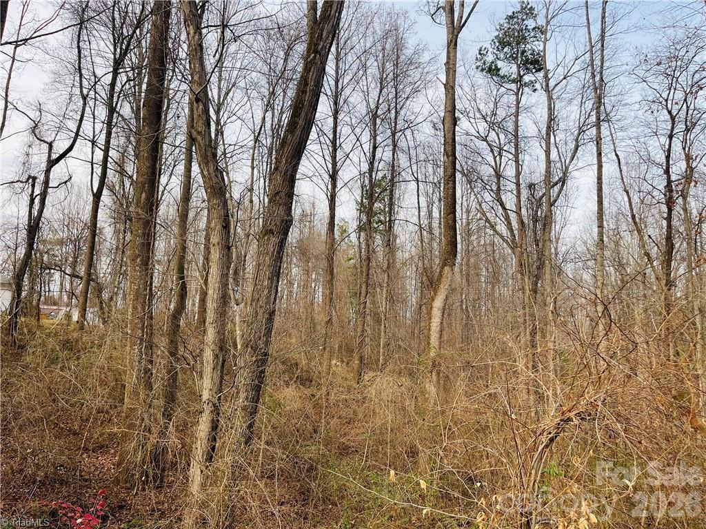 0 Union Hill Road Thurmond, NC 28683 - Photo 5 of 11