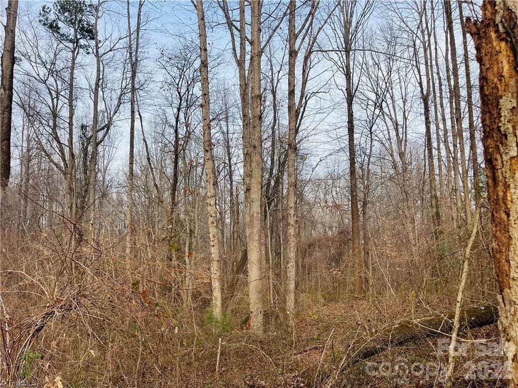 0 Union Hill Road Thurmond, NC 28683 - Photo 6 of 11