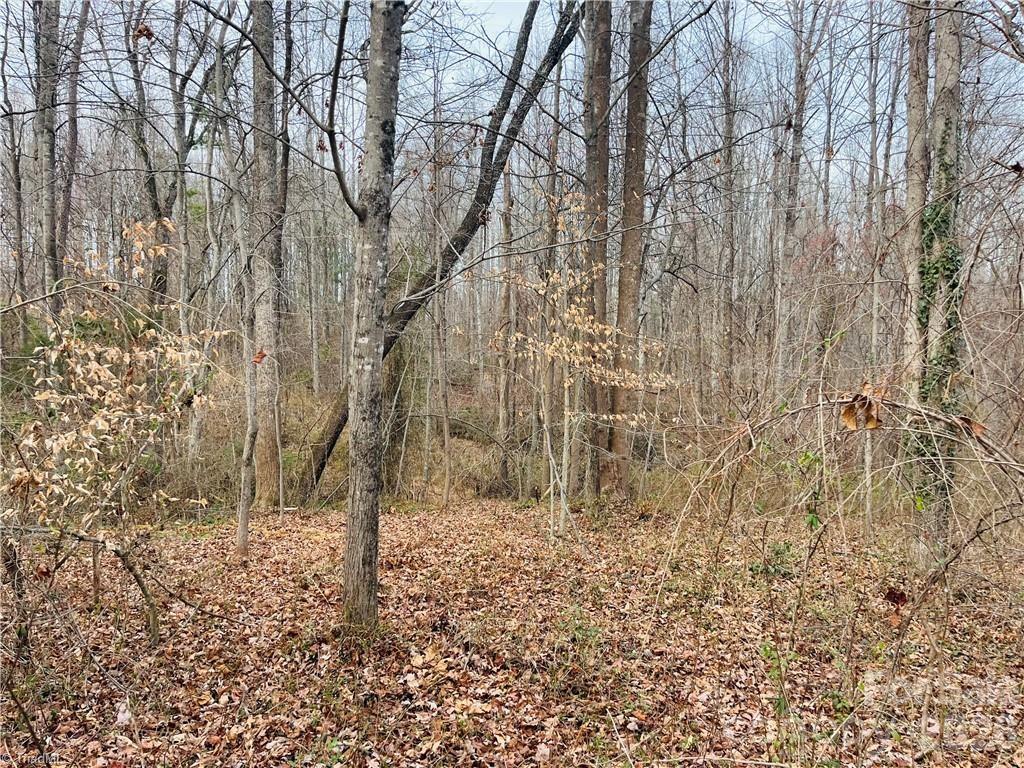 0 Union Hill Road Thurmond, NC 28683 - Photo 7 of 11