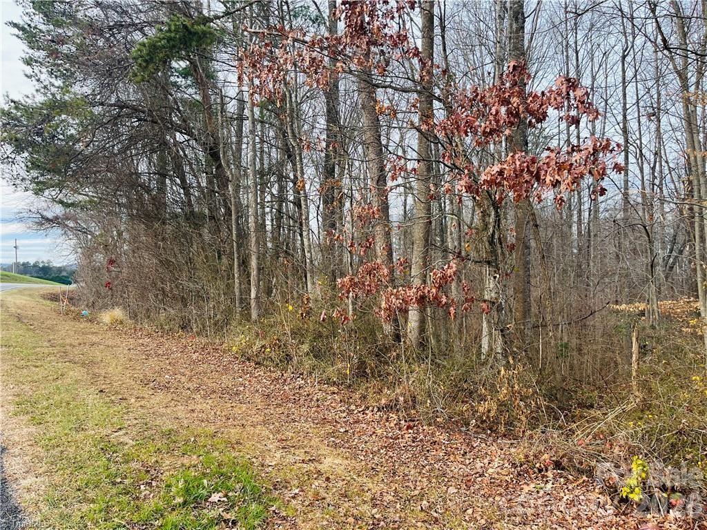 0 Union Hill Road Thurmond, NC 28683 - Photo 8 of 11