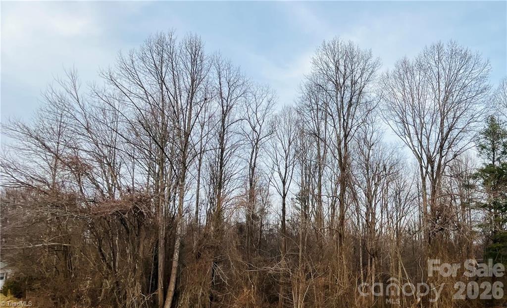 0 Union Hill Road Thurmond, NC 28683 - Photo 9 of 11