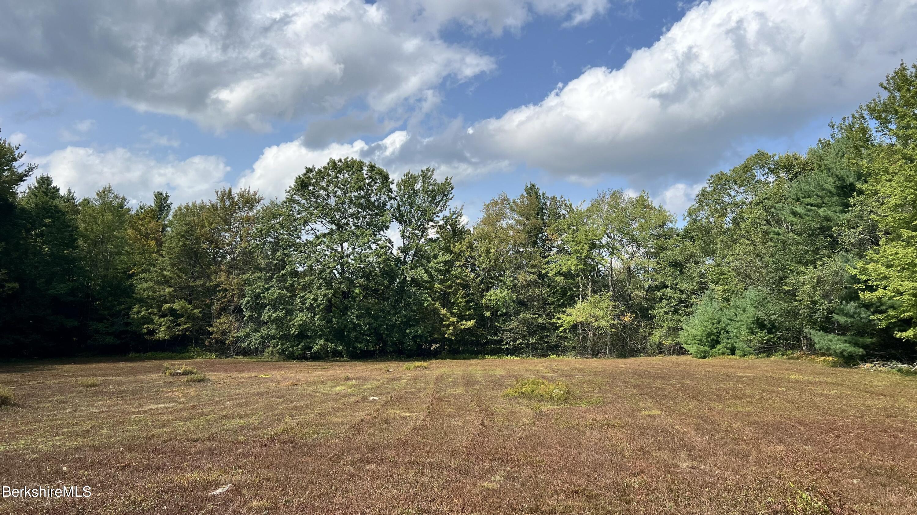 Lot 4-0 Rood Hill Road Sandisfield, MA 01255 - Photo 14 of 22 a view of a yard with plants and trees