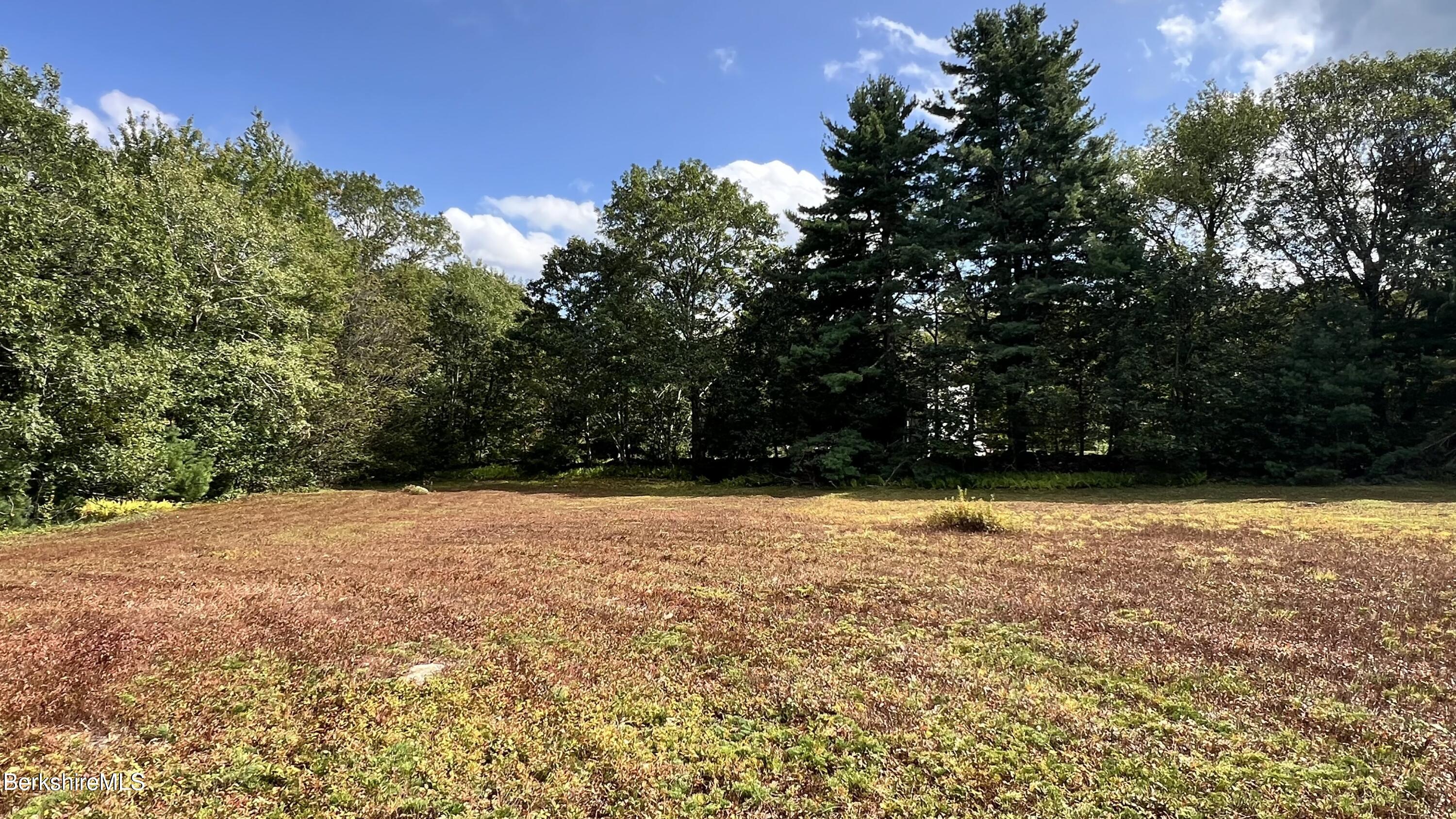 Lot 4-0 Rood Hill Road Sandisfield, MA 01255 - Photo 19 of 22 a backyard of a house