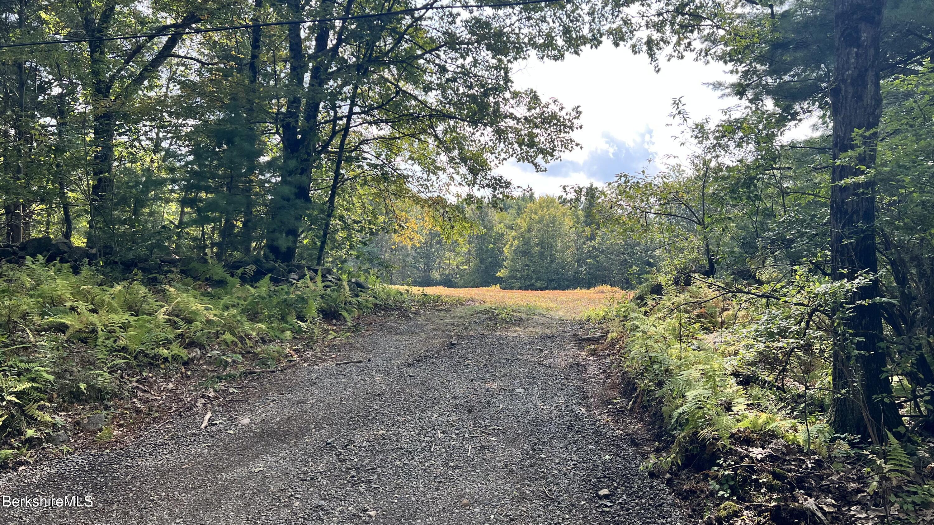 Lot 4-0 Rood Hill Road Sandisfield, MA 01255 - Photo 2 of 22 a view of a forest with trees in the background