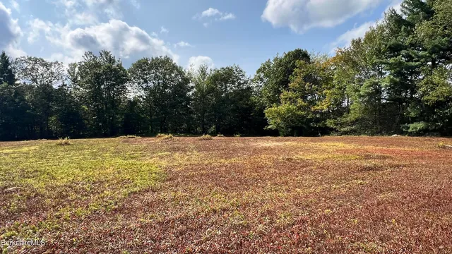 $125,000 | Lot 4-0 Rood Hill Road, Sandisfield, MA 01255