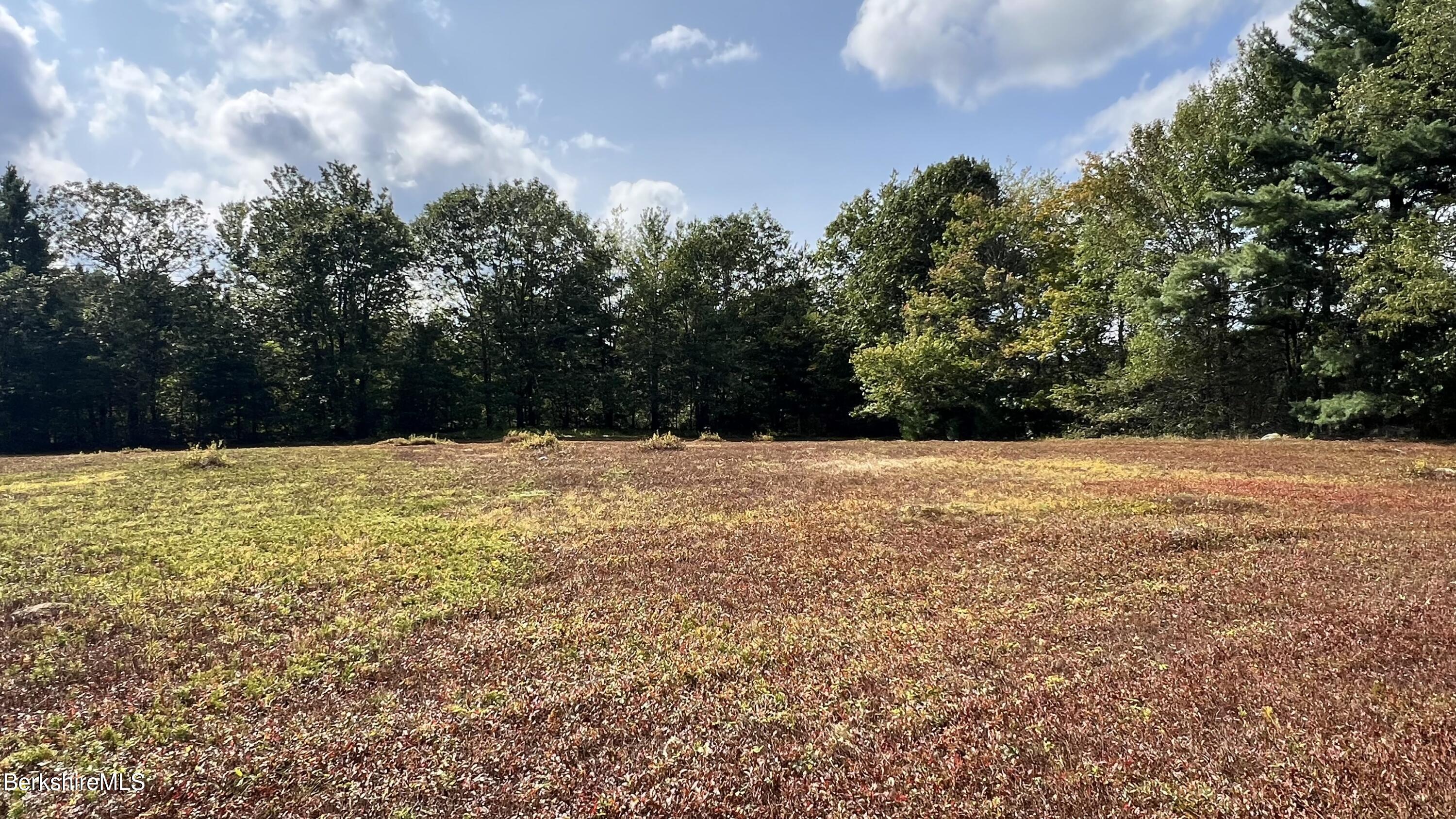 Lot 4-0 Rood Hill Road Sandisfield, MA 01255 - Photo 21 of 22 a view of yard covered with snow