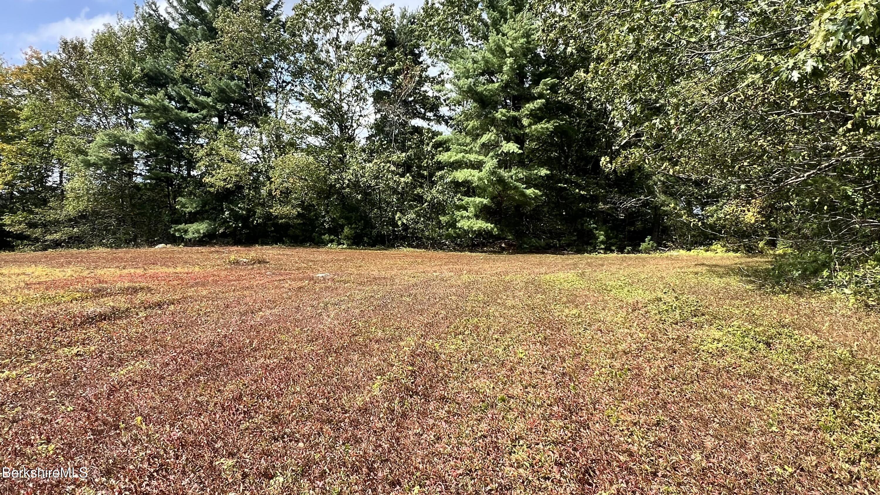 Lot 4-0 Rood Hill Road Sandisfield, MA 01255 - Photo 22 of 22 a view of white house with a yard
