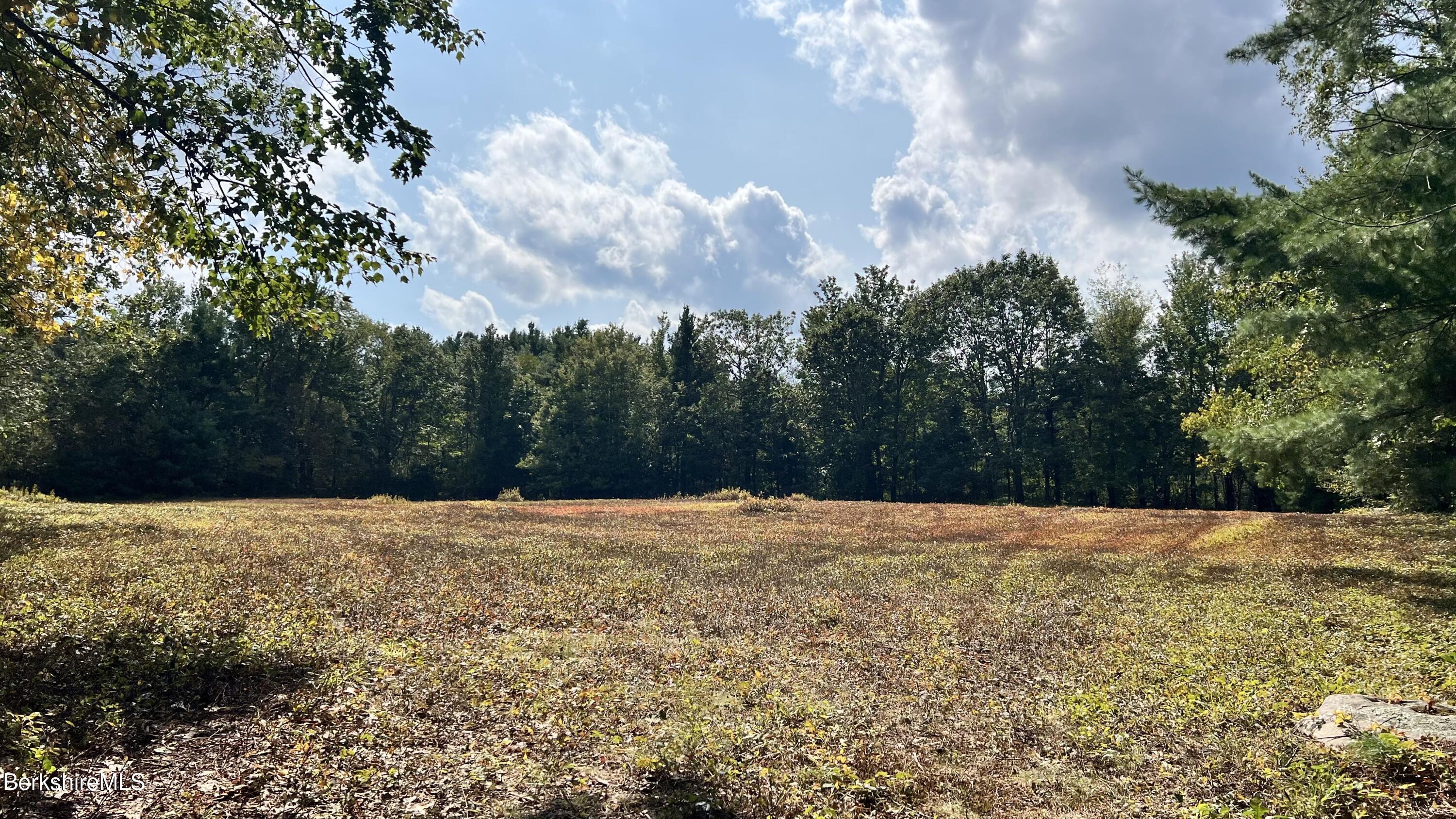 Lot 4-0 Rood Hill Road Sandisfield, MA 01255 - Photo 3 of 22 a view of an outdoor space with yard