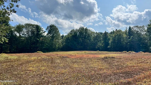 $125,000 | Lot 4-0 Rood Hill Road, Sandisfield, MA 01255