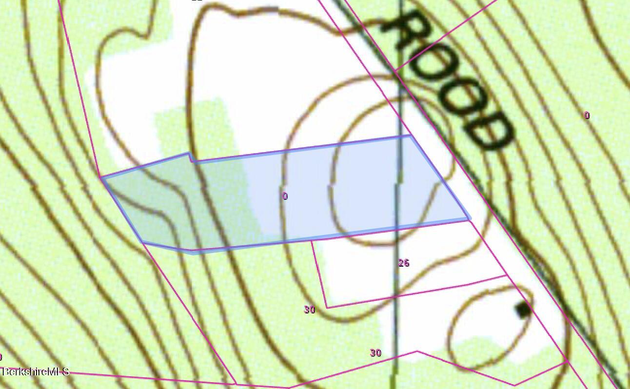 Lot 4-0 Rood Hill Road Sandisfield, MA 01255 - Photo 9 of 22