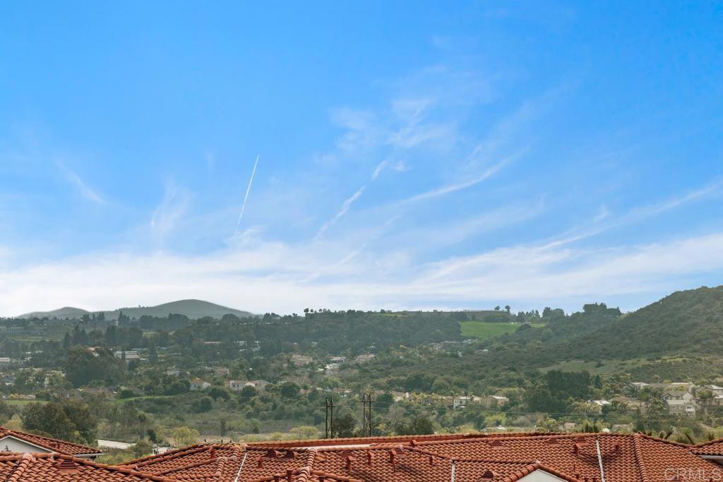 2527 Wellspring Street Carlsbad, CA 92010 - Photo 5 of 28 a view of a city from a terrace